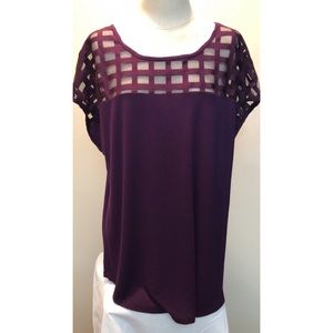 Purple Mesh Top Blouse